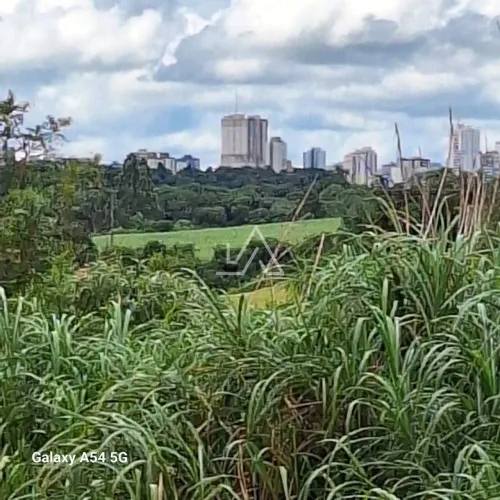 ÁREA DE TERRA NA REGIÃO DO BAIRRO SANTA MARTA