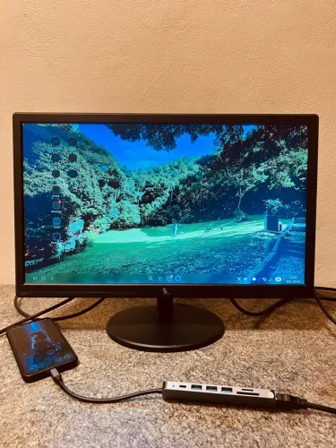 Monitor 19,5 polegadas lcd