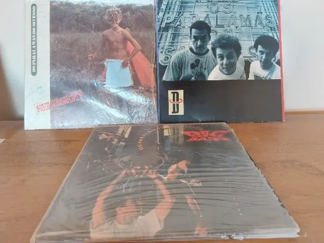 KIT COM 3 LP VINIL PARALAMAS DO SUCESSO (SELVAGEM, D, BIG BANG) - DISCOS ORIGINAIS 