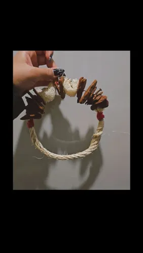 Arco Interativo de Sisal para Calopsitas