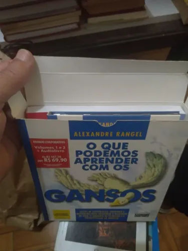 Baixou o preço... Livro O QUE PODEMOS APRENDER COM OS GANSOS