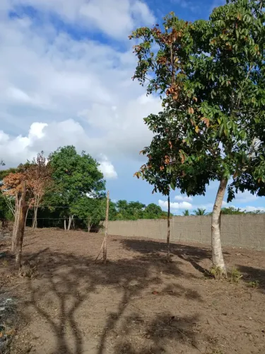 Terreno à venda, possui 660 m2, loteamento Cidade Juracy Palhano - Lagoa Seca - PB