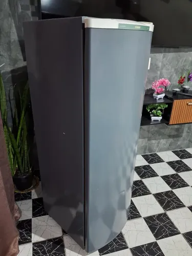 Vendo geladeira 280 litros funcionando perfeitamente $470 reais e intrego dependendo onde