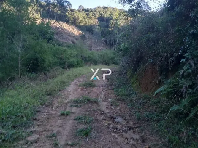 Sítio l Em Anitópolis a venda |