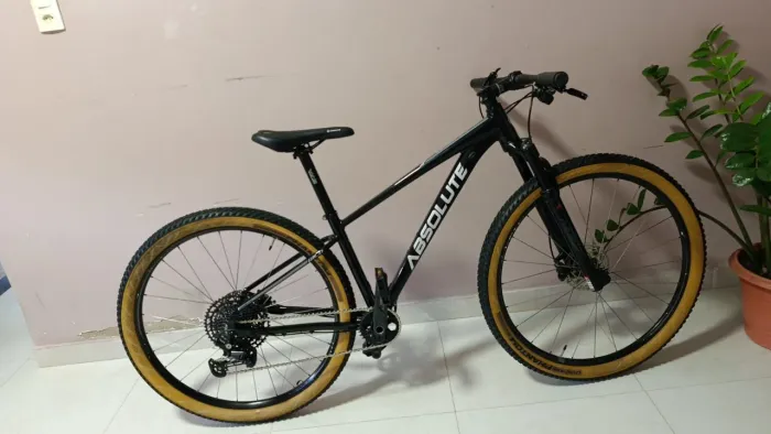Bike Absolute Wild2 boost Tam S aro 29