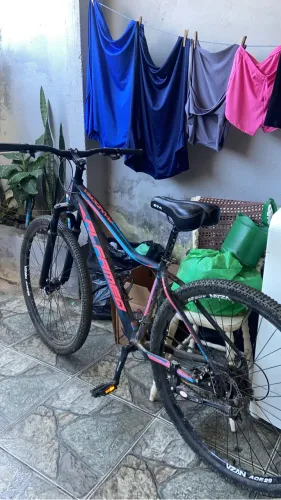 Absolute Wild aro 29