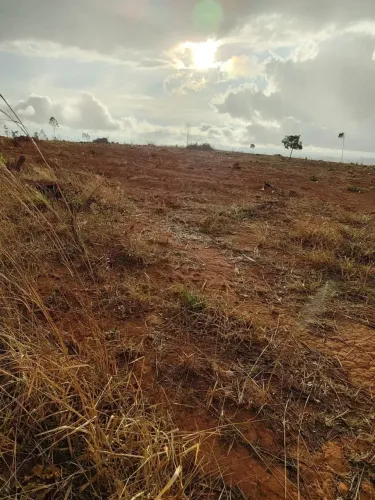 Fazenda a venda, em Cocalzinho de Goiás!