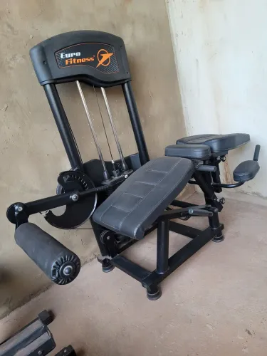 Academia exercícios cadeira flexora