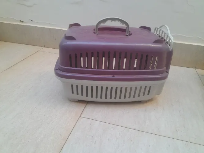 Casinha Cachorro