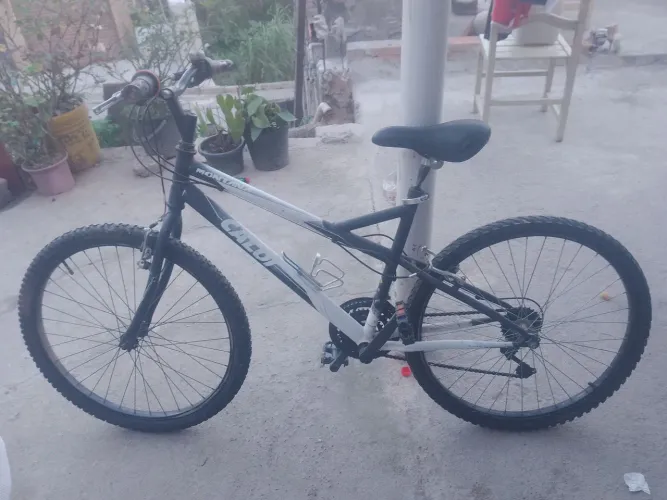 Bicicleta