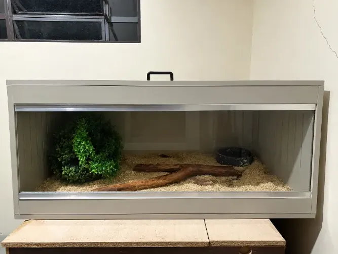 Terrário para répteis ou roedores 