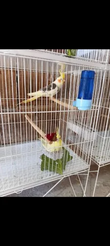 Lupita