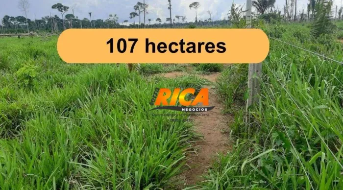 Vende- se Fazenda, 107 HECTARES por R$ 2.200.000 - Zona Rural - Nova Mamoré/RO