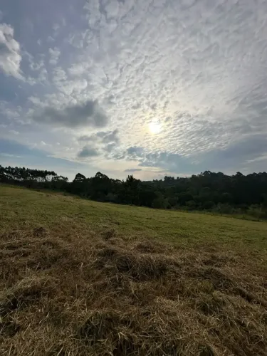 Mairinque Cresce Todos os Anos | Garanta Seu Lote de 1.000m²
