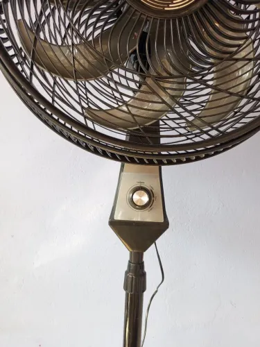 Ventilador de Pedestal Wap