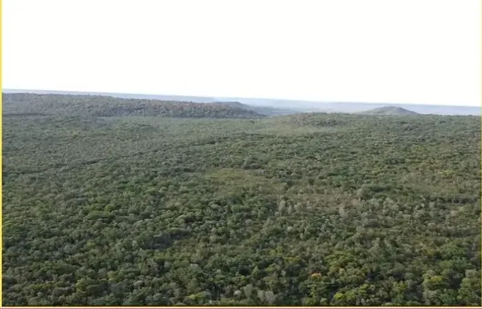Oportunidade, área brutal em Benedito Leite no MA, com 808 hectares, lavora e pecuária