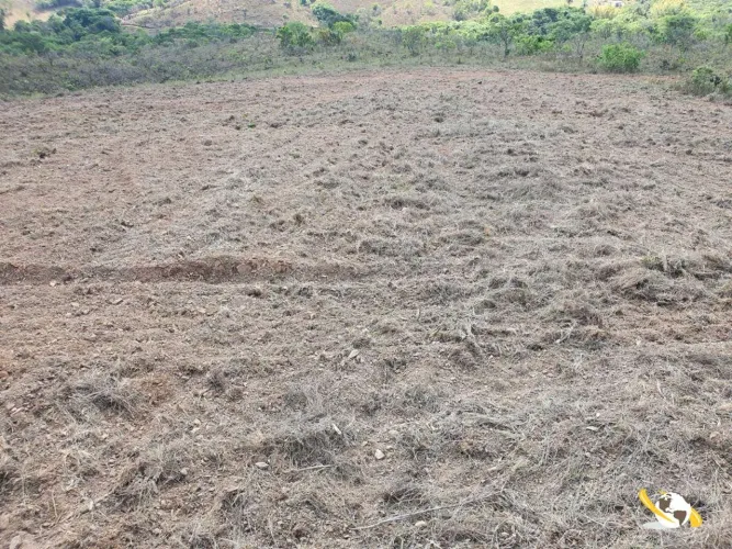 FAZENDA COM 212HEC EM PATROCÍNIO - RIQUEZA DE ÁGUA E SOLO PRODUTIVO