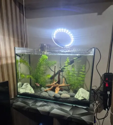 Vende-se aquário completo de vidro