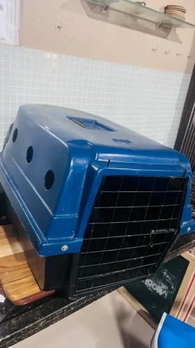 Caixa Transporte Cães e Gatos Grande