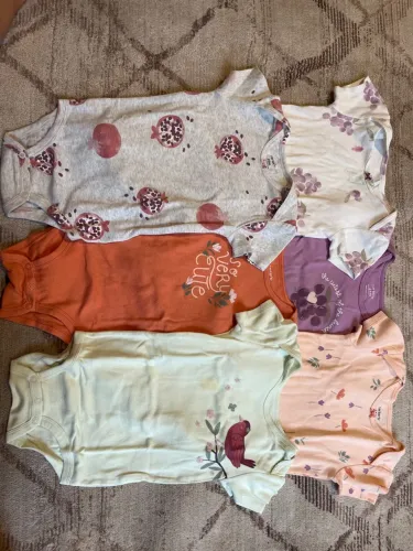 Lote bodies carters 24 meses