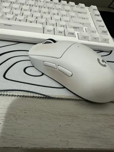 Mouse gamer top