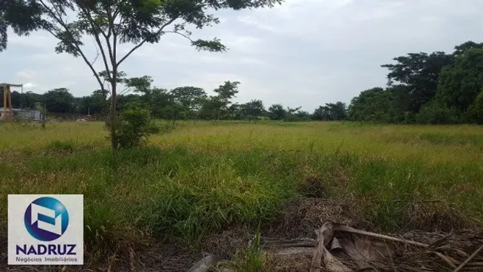AREA PARA VENDER, AREA COMERCIAL, FRENTE RODOVIA, PROXIMO A RIO PRETO, 10MIL METROS, PLANA