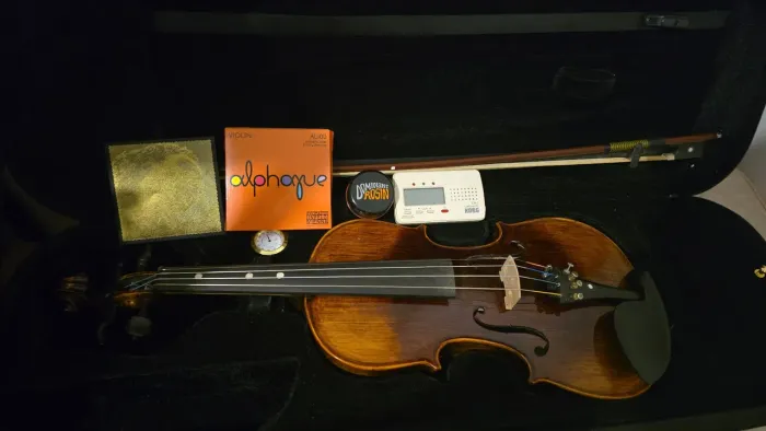 Violino Eagle Vk544
