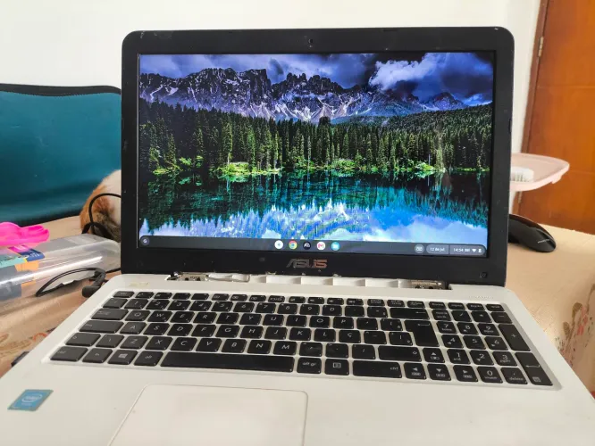 Notebook Asus 4gb Ram 248 GB SSD