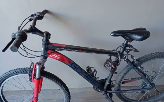 Bicicleta Gonew Endorphine