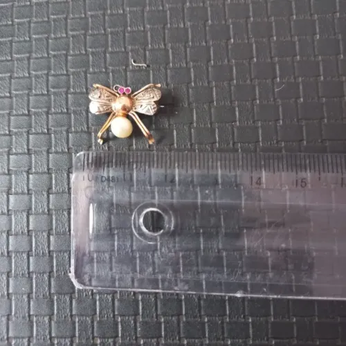 Abelha broche século xx