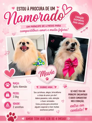 A procura de um namorado 