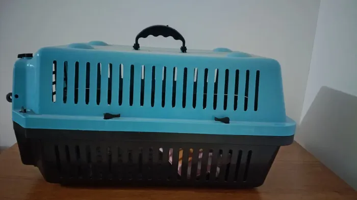 Caixa para pets
