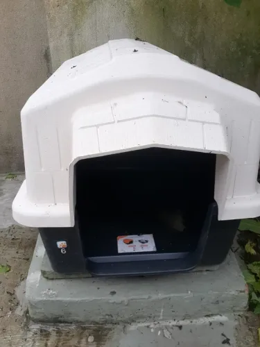 Casinha de Cachorro