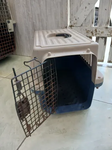 casinha para cachorro de pequeno porte