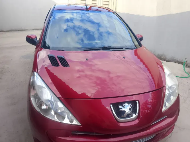 Peugeot 207 XR 1.4 Flex 8V 5P 2013