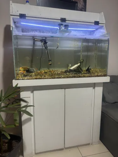 Aquário 200 litros