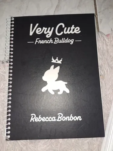 Caderno original da Rebecca bonbon 1 matéria