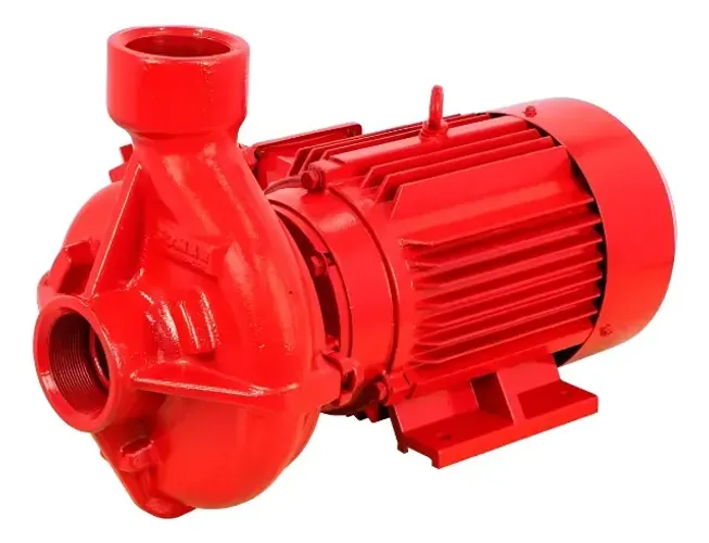 Motobomba Ssc5-in 5cv 220/380v 2p60hz Trif Blindado Schulz