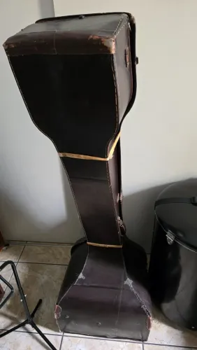 Vendo Tanpura indiana de canto masculina