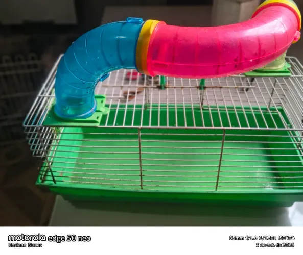 gaiola pra hamster