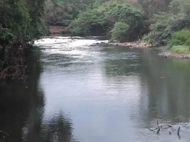Chácara com acesso ao Rio dos Bois município de Cezarina
