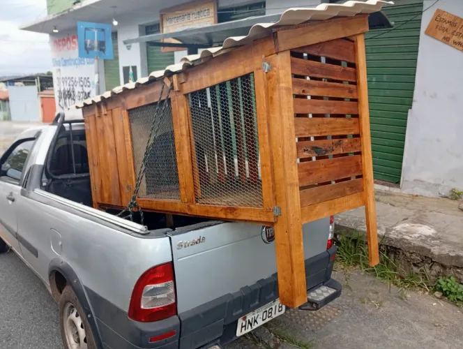 Viveiro galinheiro sob medida