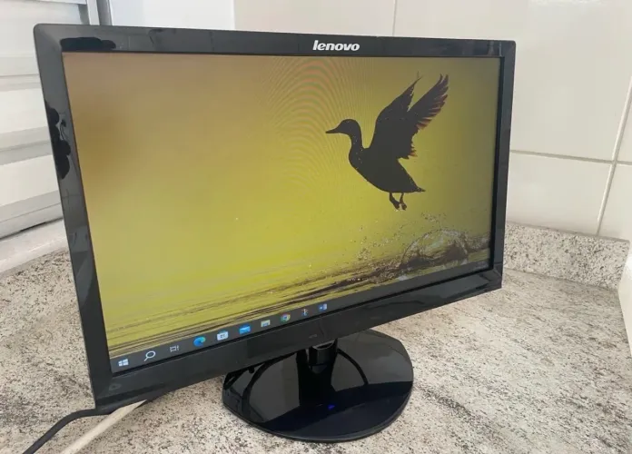Monitor Lenovo 19
