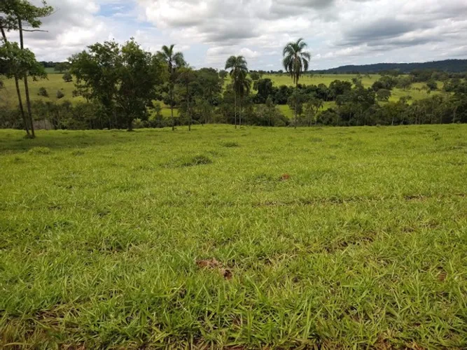 Fazenda em Leopoldo de Bulhões 119 Alqueires
