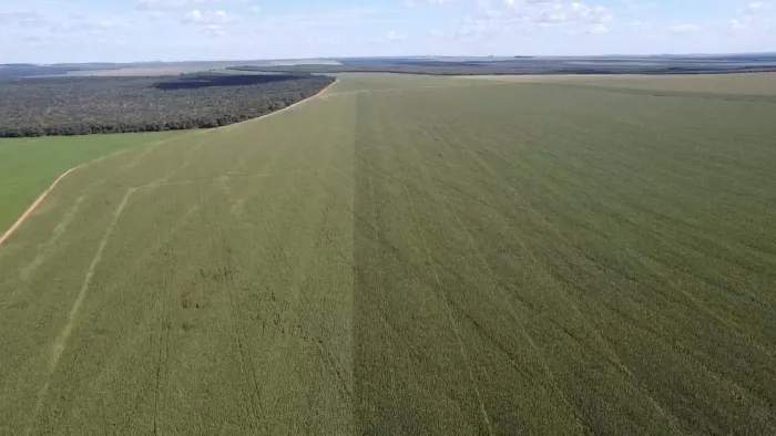 Fazenda 1.740 hect em campo novo de Parecis abertos 1.285hect 60 milhoesMT.