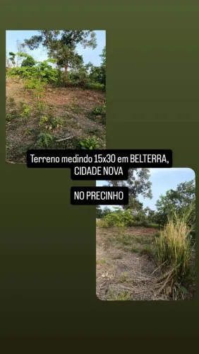 TERRENO EM BELTERRA