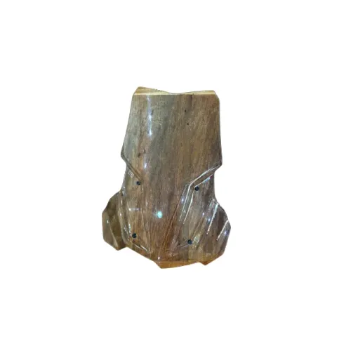 Bolha Puig Bmw /f 900 Gs Adv Plus 24/25