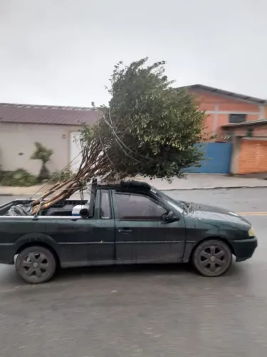 Faço pequenos fretes piraquara pinhai.e praias 