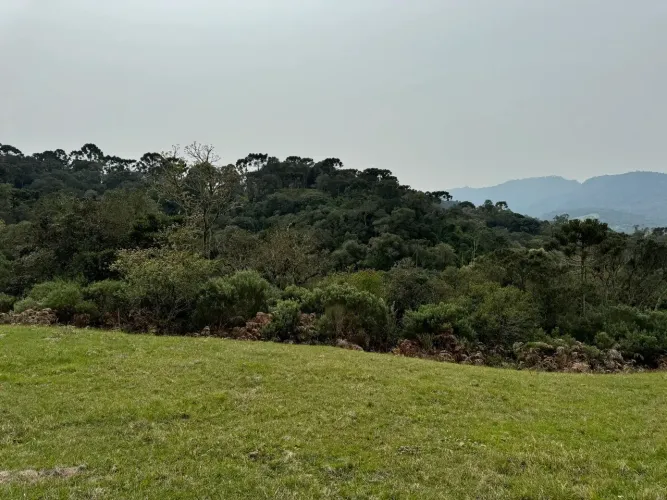 Sítio com 2,0 hectares  em Urubici