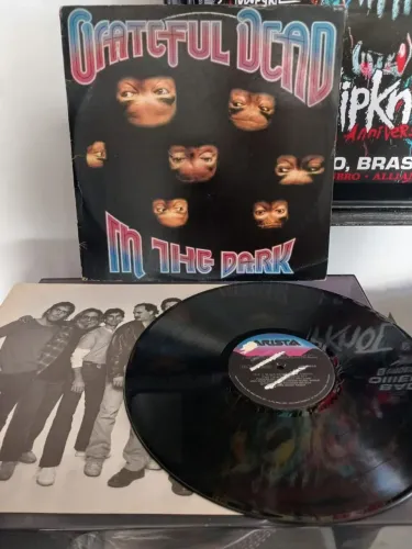LP Disco de Vinil Grateful Dead - In The Dark
